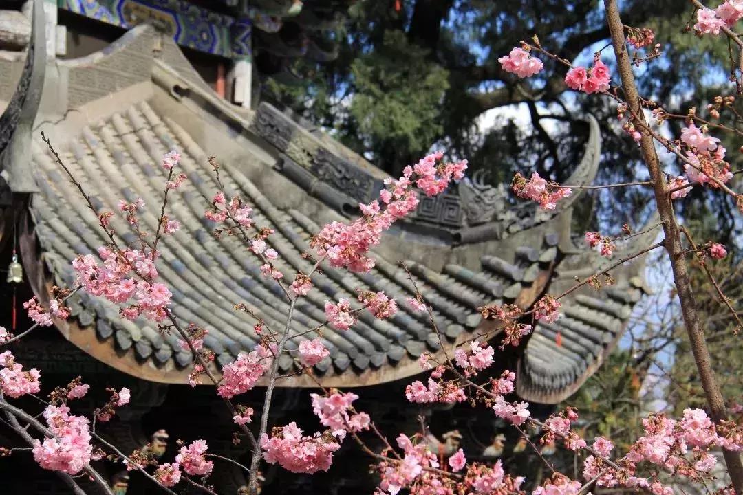 閭涘窞鏃呮父鏀荤暐,閭涙捣椋庢櫙鍖烘梾娓告敾鐣ヤ竴鏃ユ父