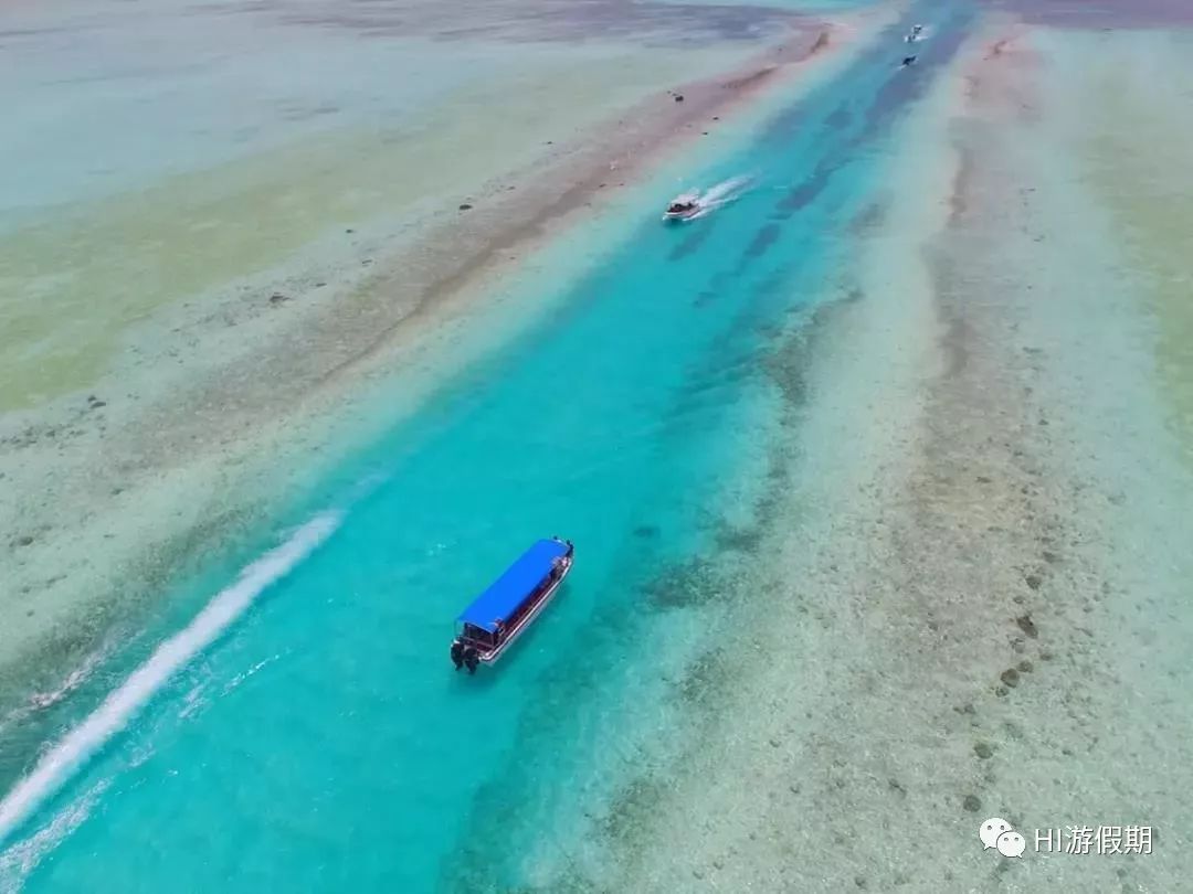 帕劳蓝洞潜水美人鱼,蓝色大海里的帕劳