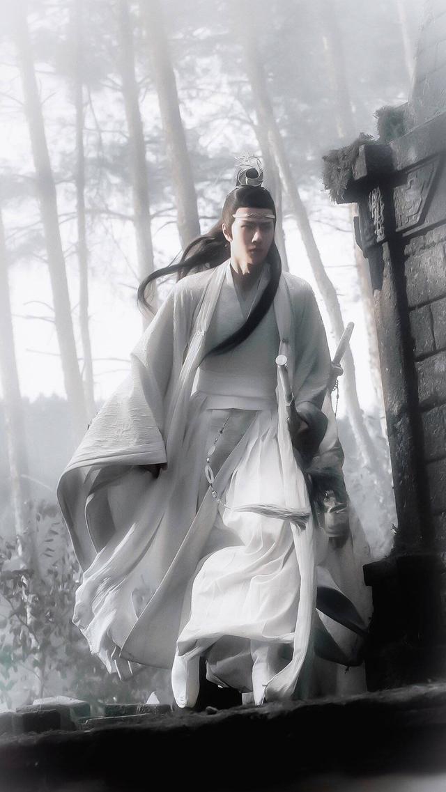 论纯路人是如何入的《陈情令》的坑