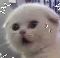 又查获千万假港药!你买的双飞人、活络油、保胃丹可能是假的!