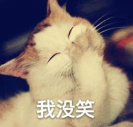 劳力士为什么叫一劳永逸,劳力士一劳永逸什么意思