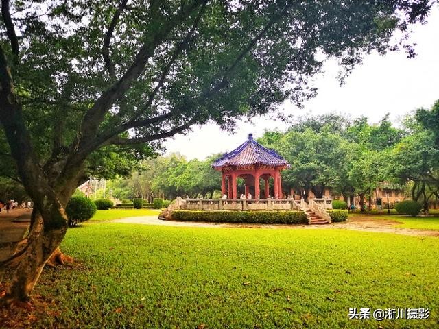 中国最美丽的校园照片,中国最美丽的校园中山大学南校区