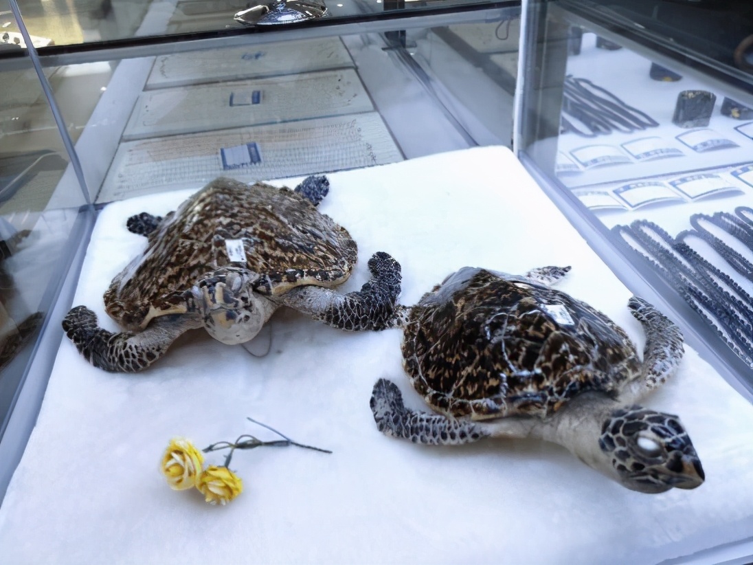 短视频以及电商生态研究报告,短视频与直播电商行业调研报告