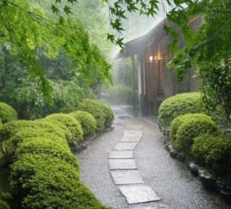 浜曞唸绾㈠鐪熷疄鐓х墖,浜曞唸绾㈠鏄摢閲屼汉