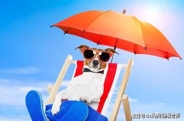 契诃夫具有强烈的幽默感,契诃夫的幽默