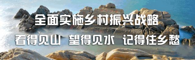 「*会两**面孔」丰源：多点发力奏响乡村振兴时代强音