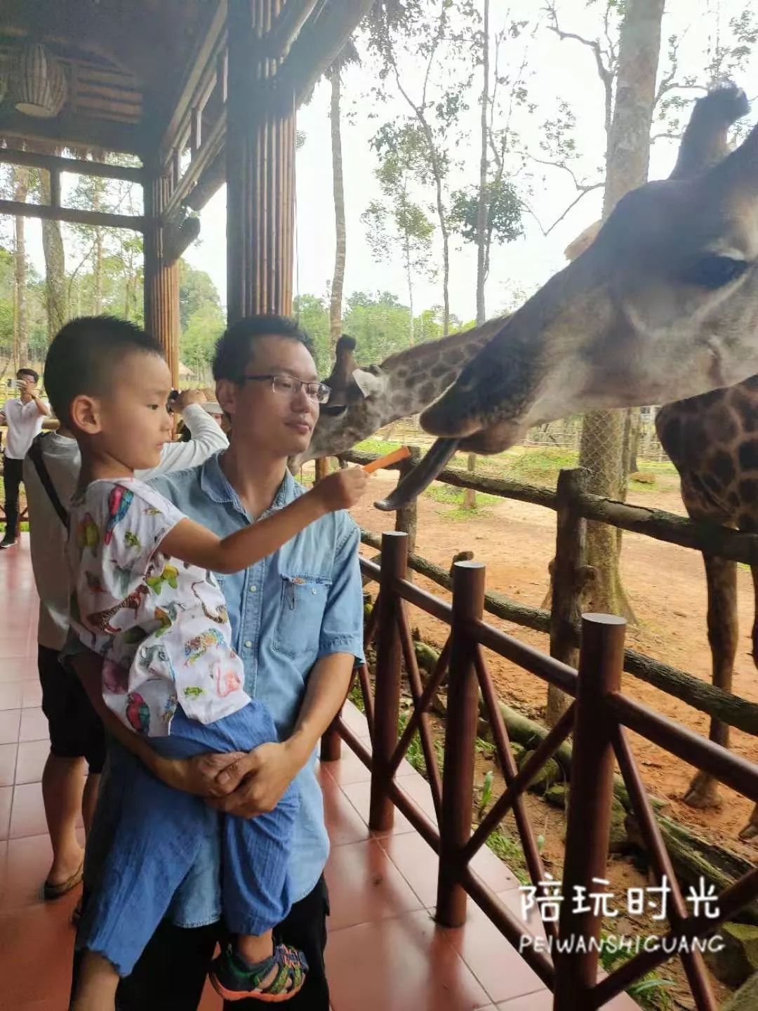 适合亲子游的海边酒店推荐,适合带娃的高端亲子海岛酒店
