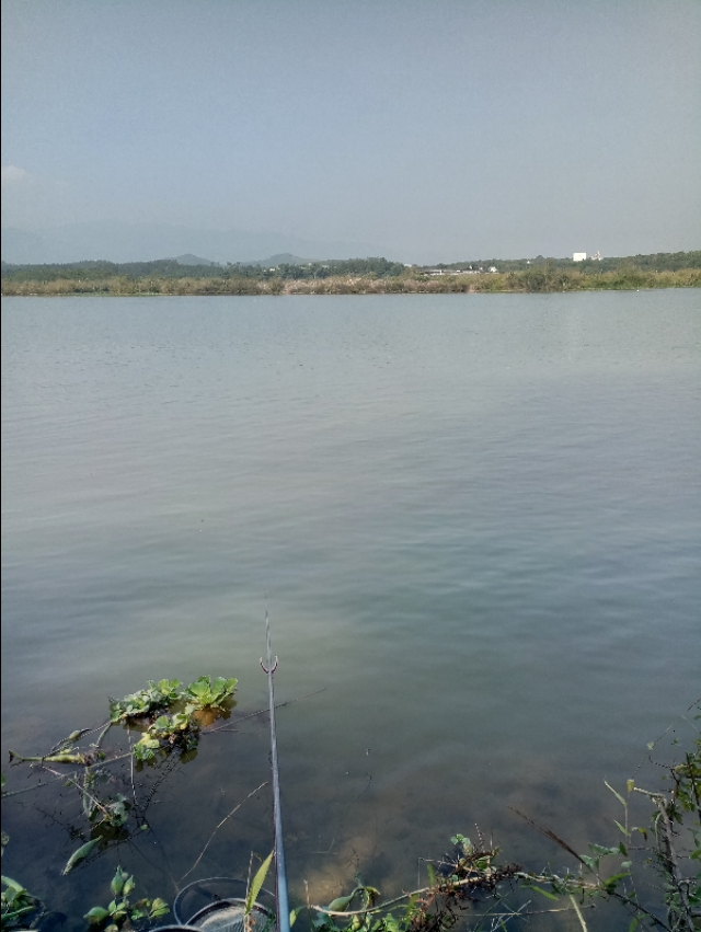 筏竿串钩钓鲫鱼几号钩冬季,冬季筏竿钓鲫鱼串钩的绑法