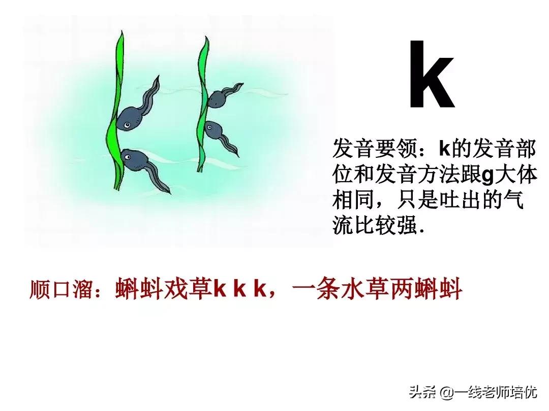 一年级汉语拼音和二年级汉语拼音,汉语拼音教学视频完整版一年级