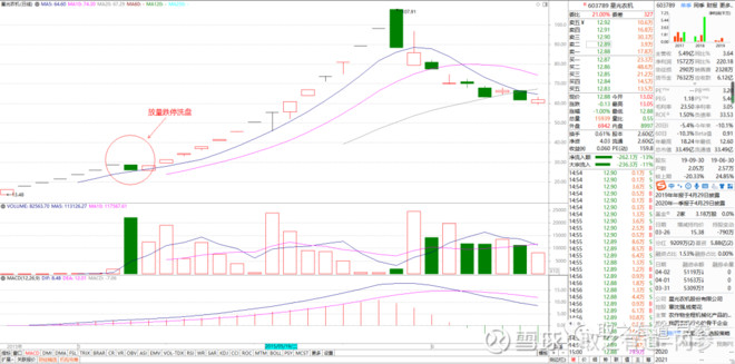 什么是次新股如何买卖,什么是次新股音频