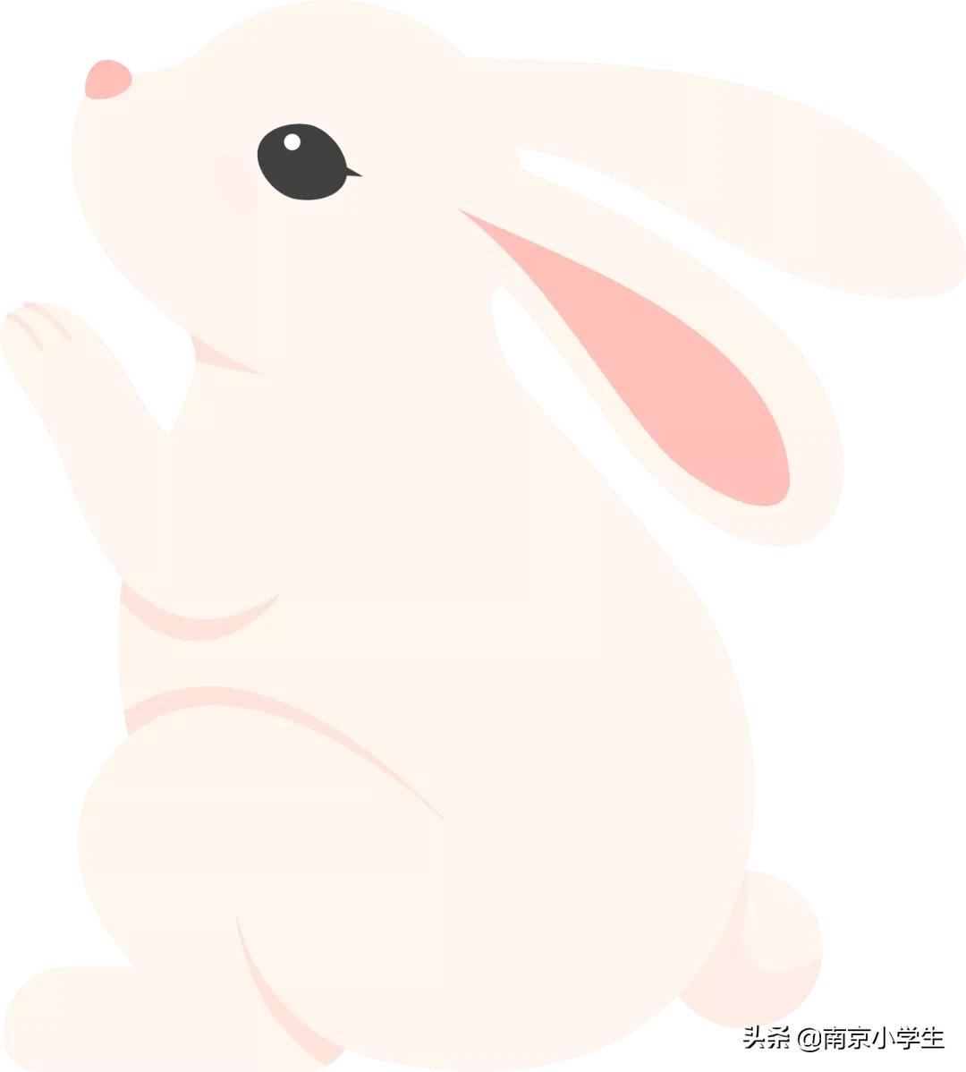 南京市古雄小学怎么样,南京市古雄小学直播