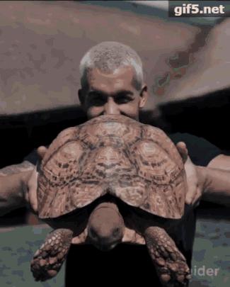 放弃百万年薪，去非洲撸猫？长腿版小李子引63w人舔屏：看我看我