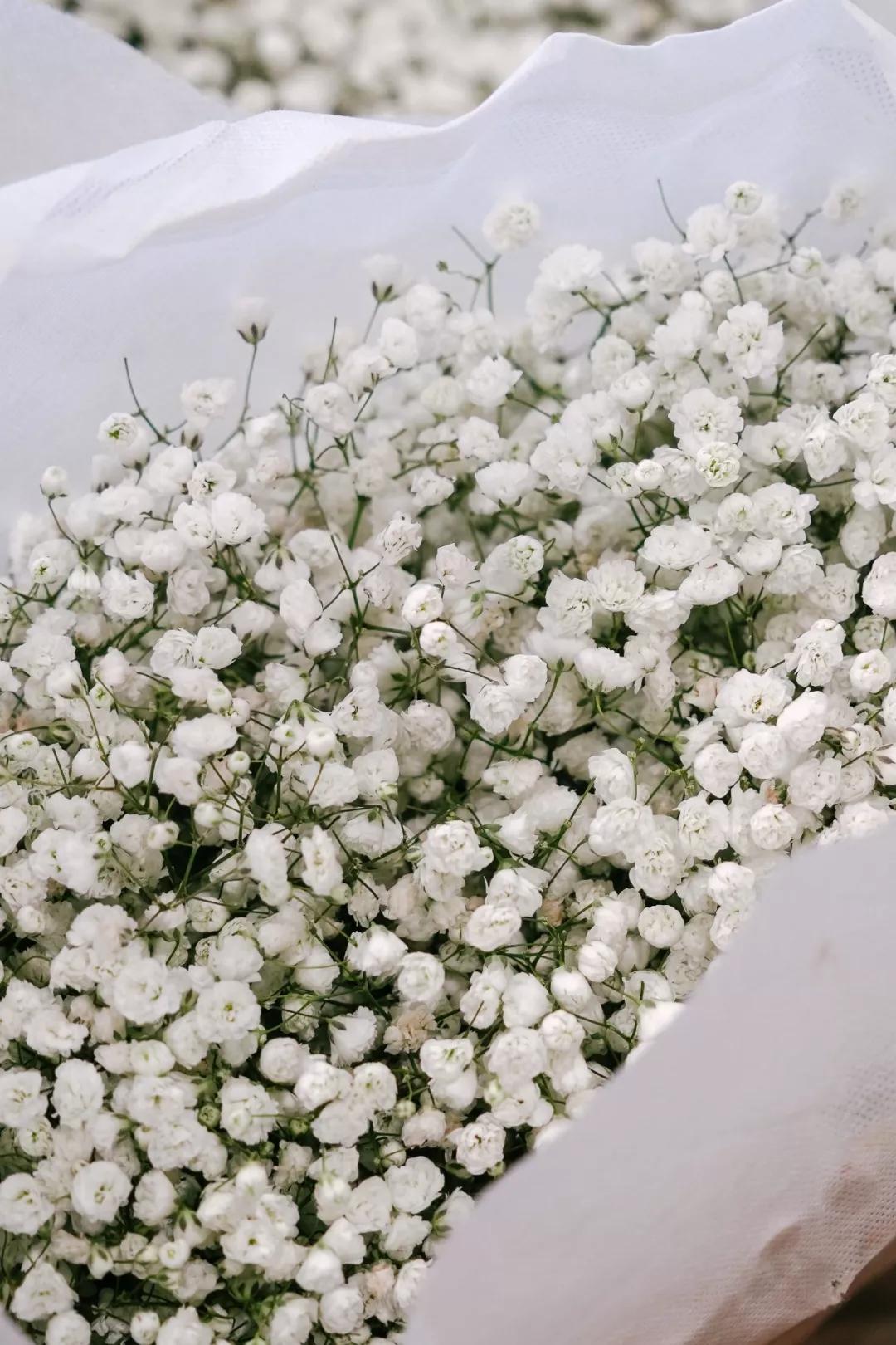 汉中门花市,汉中门花市价格