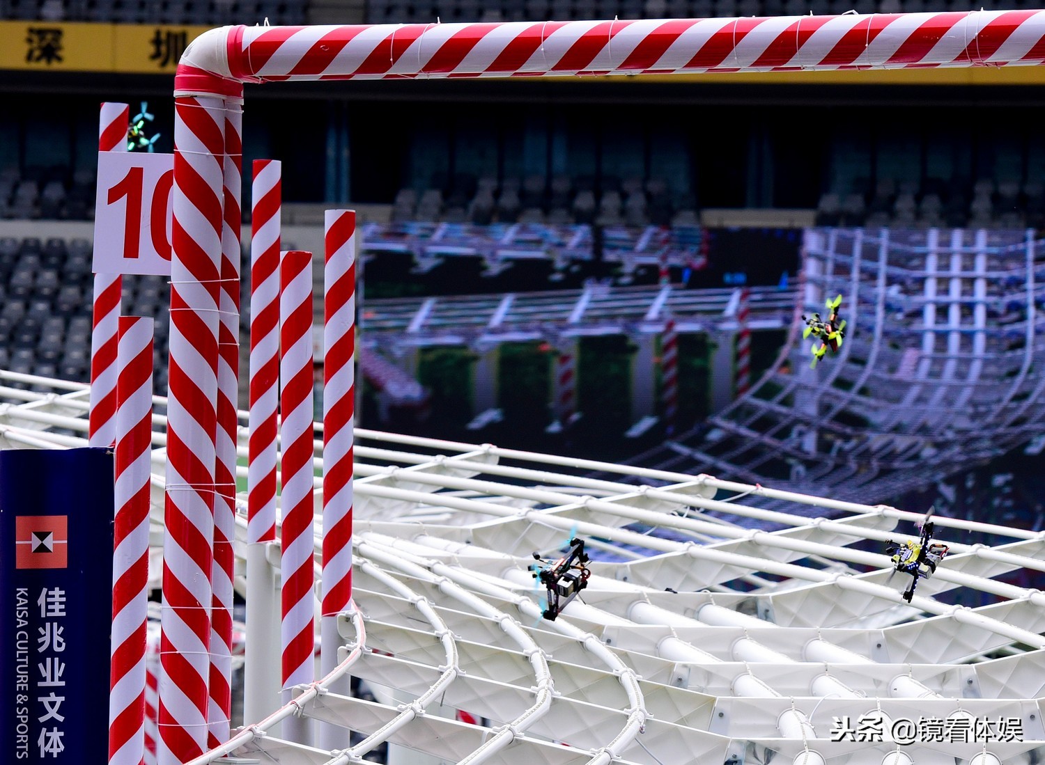 鐜嬮湝閲岀毊,閲岀毊涓轰腑鍥借冻鐞冪暀涓嬬殑韬奖