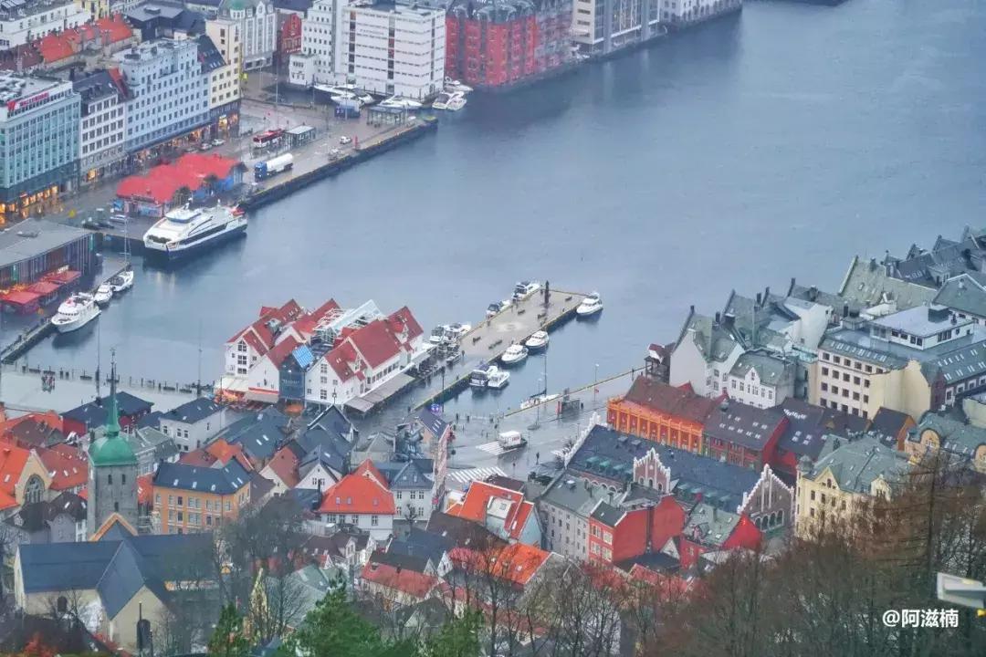 为了吃世界上最好吃的青花鱼，我飞去了挪威，光是捕捞船价值4亿