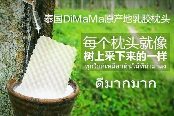 幼儿乳胶枕头哪个牌子好,买乳胶枕头买哪个牌子正宗
