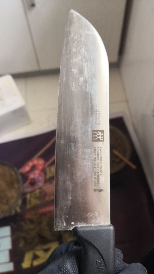 金虎长歪怎么办,金虎多少年可以长到25公分