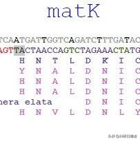 高通量测序步骤,高通量筛选与高通量测序