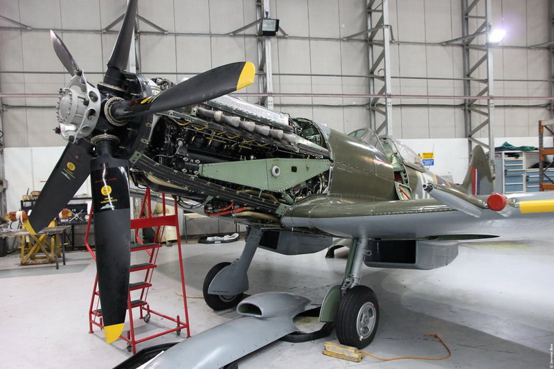 飞行员报告：性能怪兽，安装“兀鹫”发动机的另类“喷火”