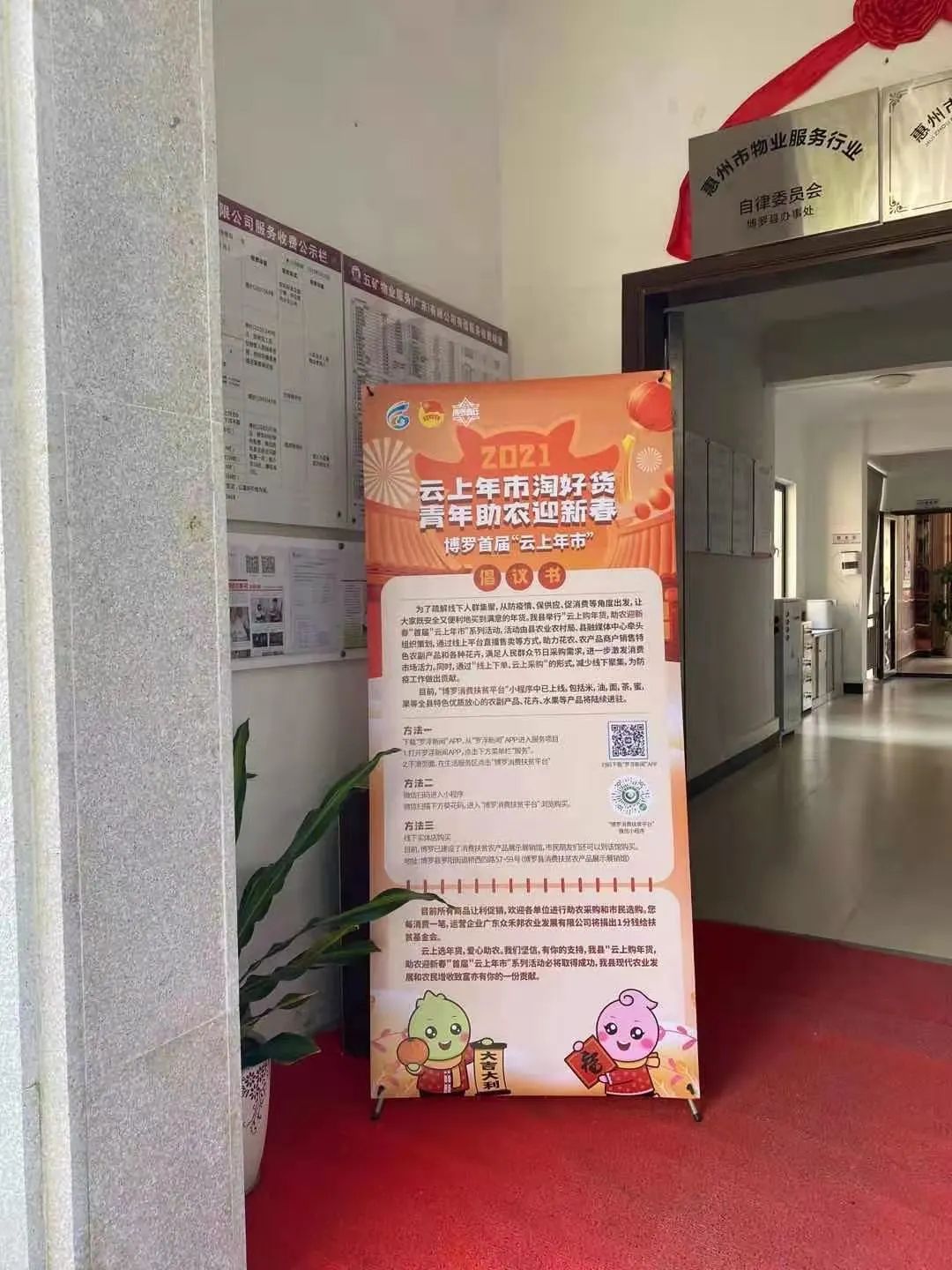 青年助农志愿服务队,青年志愿者协会助力乡村振兴