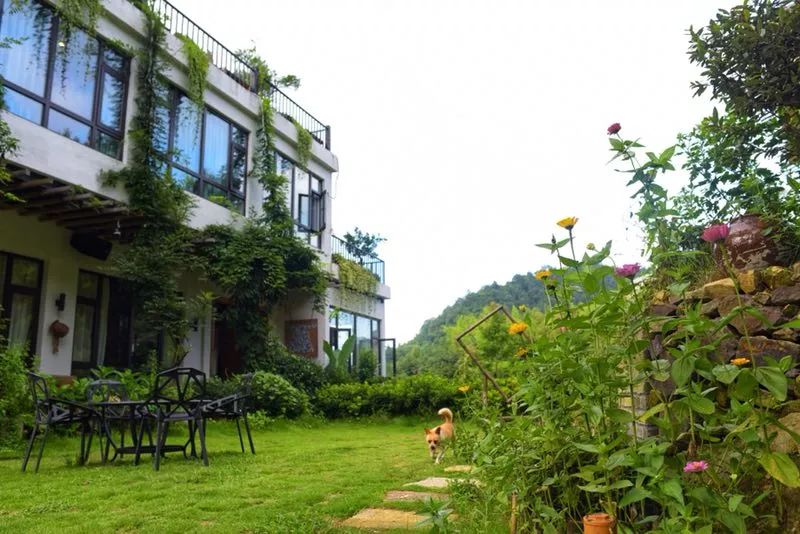 温州正规民宿名单,温州十大口碑最好民宿