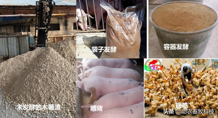 农村自制低成本养猪饲料配方,自制猪发酵饲料的最佳配方