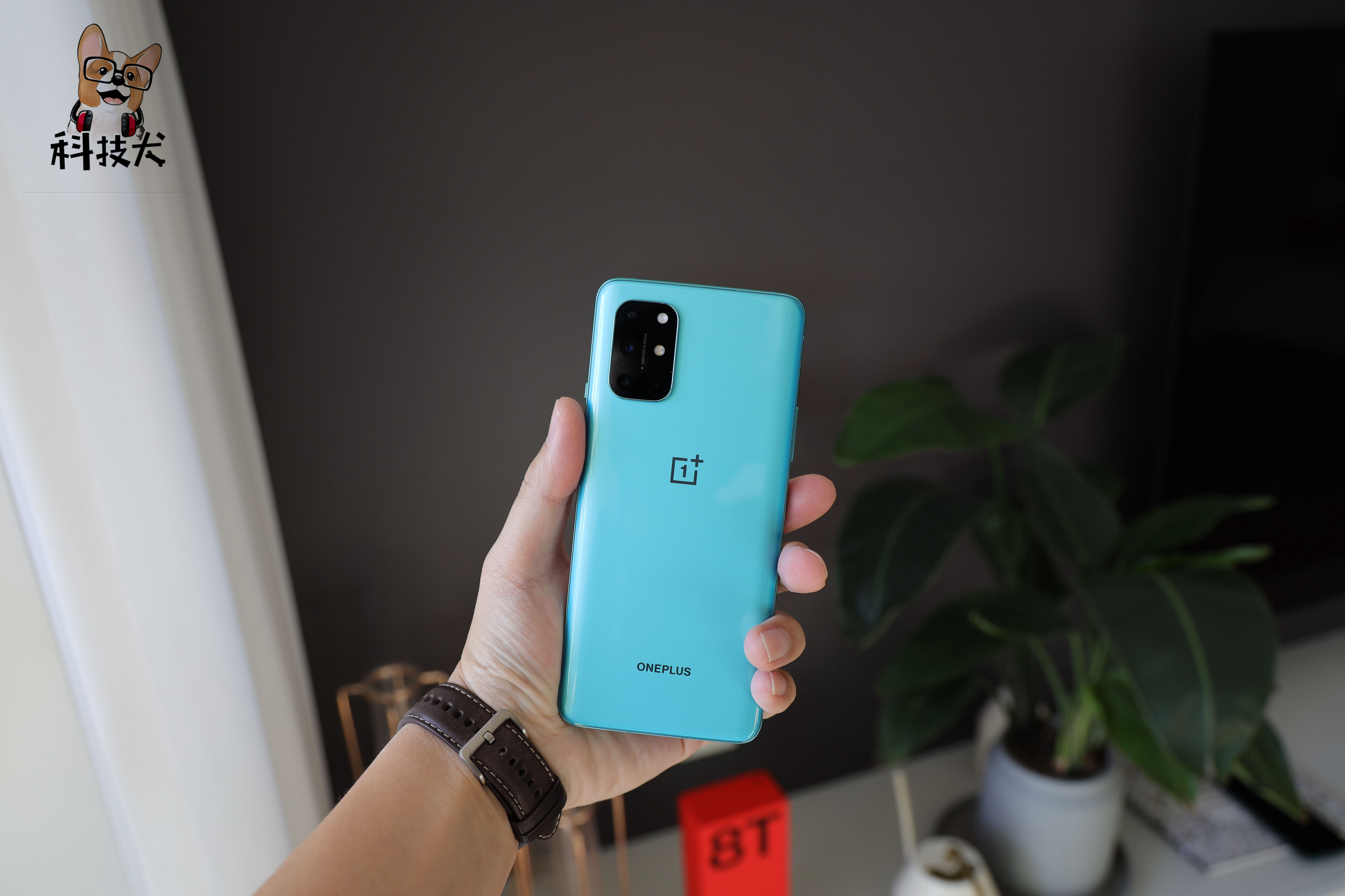 三星s21屏幕是e4还是m10,2020三星顶级屏幕手机排行