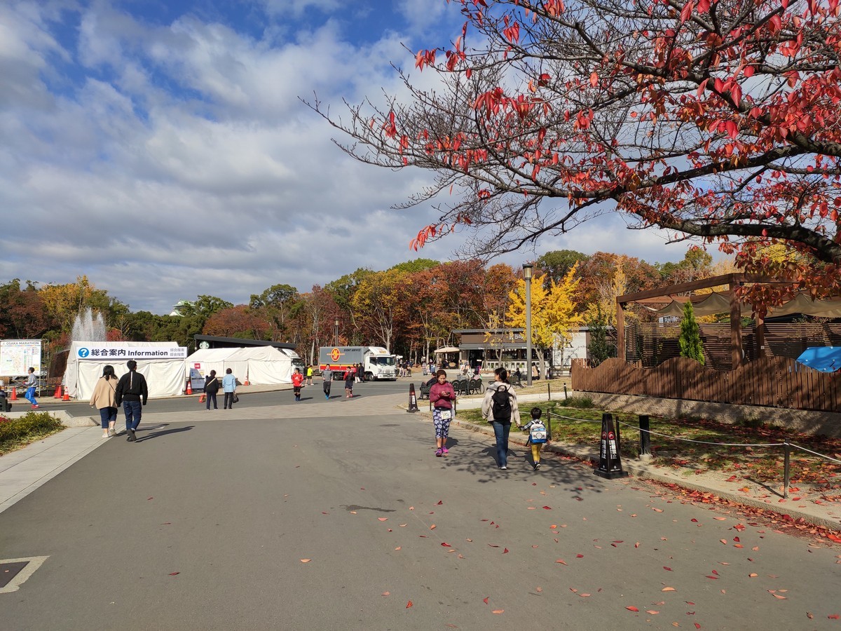 日本大阪马拉松,日本大阪马拉松赛道难度