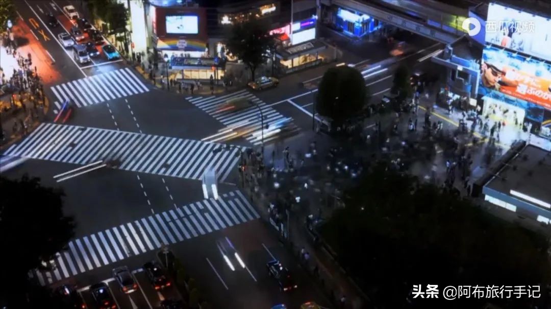 豆瓣9.1分看哭百万人,豆瓣评分9.0却很少有人看懂