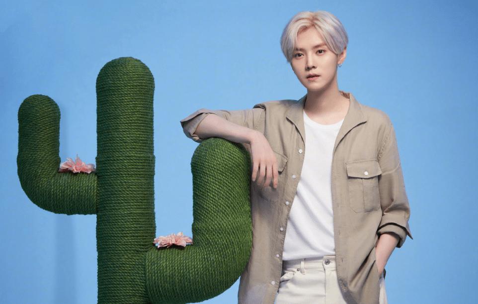 鹿晗捐赠足球场,鹿晗捐赠足球场在哪里