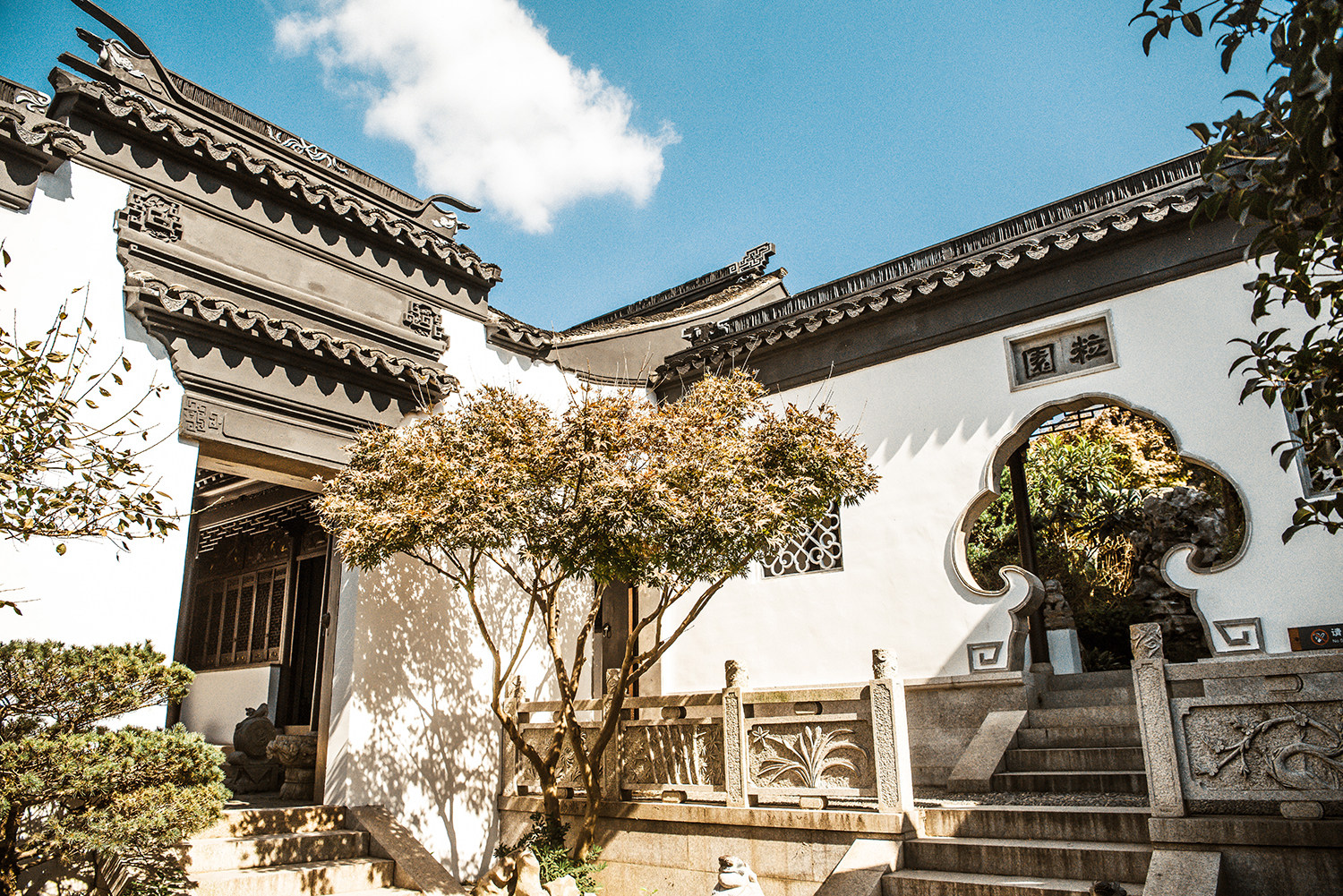 姑苏人都不知道的轻徒步道,穿越万亩茶园,将苍茫的太湖尽收眼底