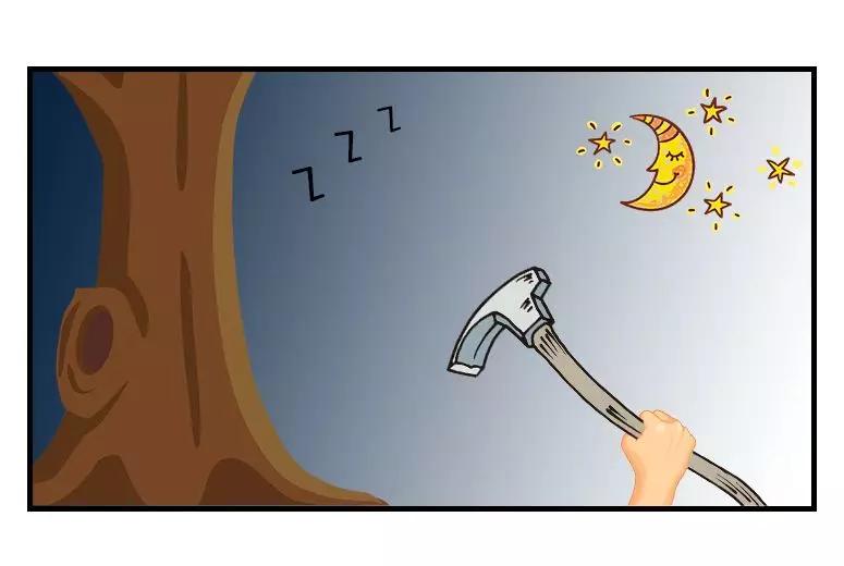 一棵红豆杉图片,一棵红豆杉