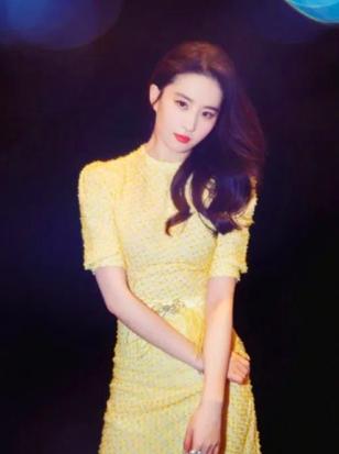 杨幂刘亦菲蓬松发型,刘亦菲头发教程半披