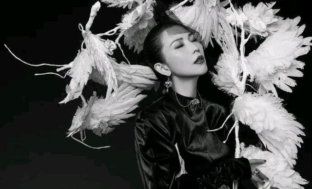 八卦爆料：蔡少芬、佟丽娅、奚梦瑶、晋久、许鞍华、葛荟婕、阿娇