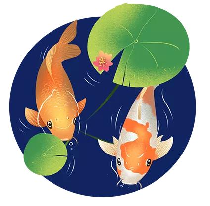 怎么让锦鲤运气好,锦鲤怕人怎么办小妙招