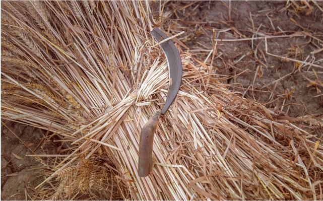 镰刀与锤头是什么意思,镰刀锤头代表什么意思