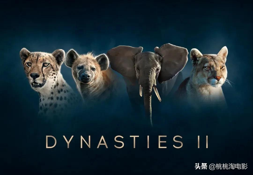 bbc纪录片最值得看的,bbc神级纪录片豆瓣评分超9