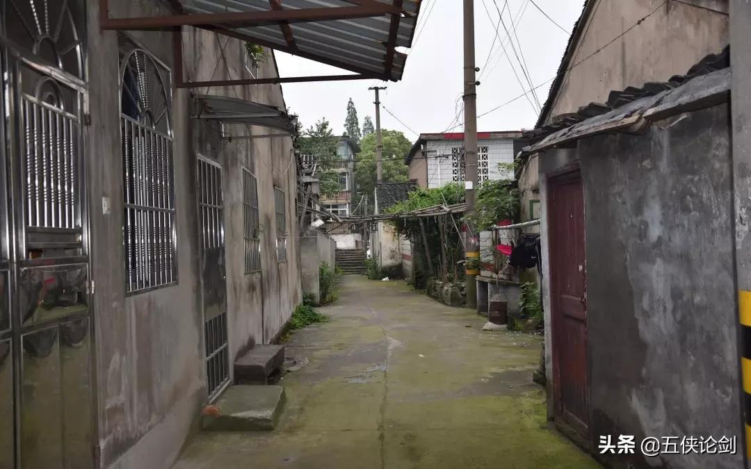 再见了诸暨完整视频,再见了绍兴视频