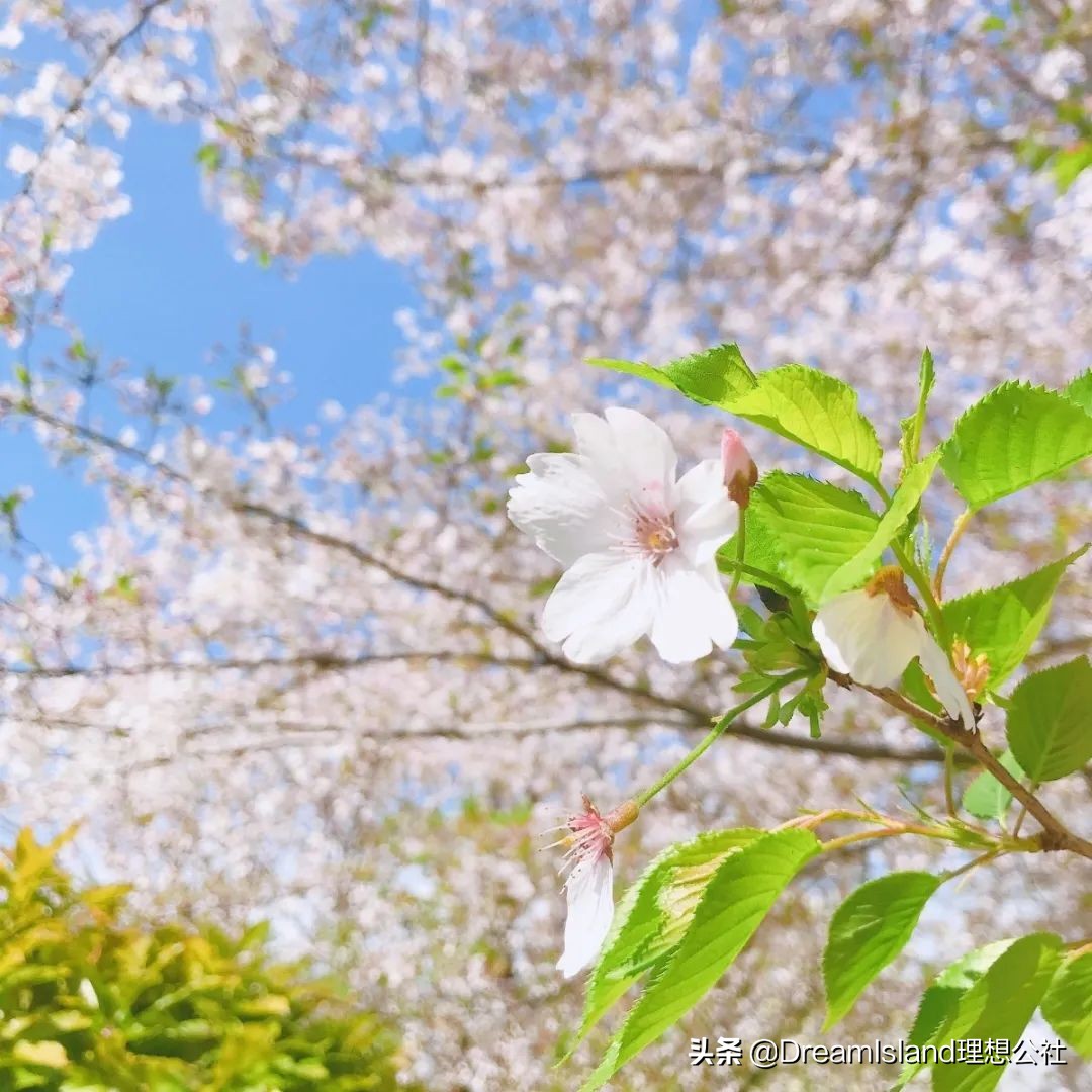 秋冬养肤大牌粉底液推荐,美妆润泽粉底液
