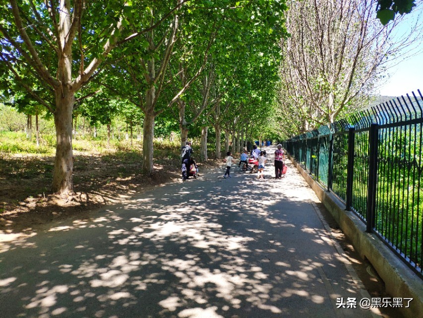北京石渠公园在哪里,北京石渠公园