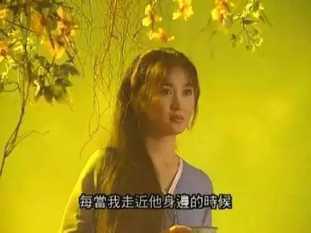 晋江言情霸总小说推荐书单,晋江十大高分言情小说