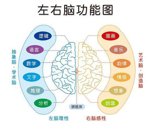 音乐课堂以美育人,音乐教学与素质教育并存