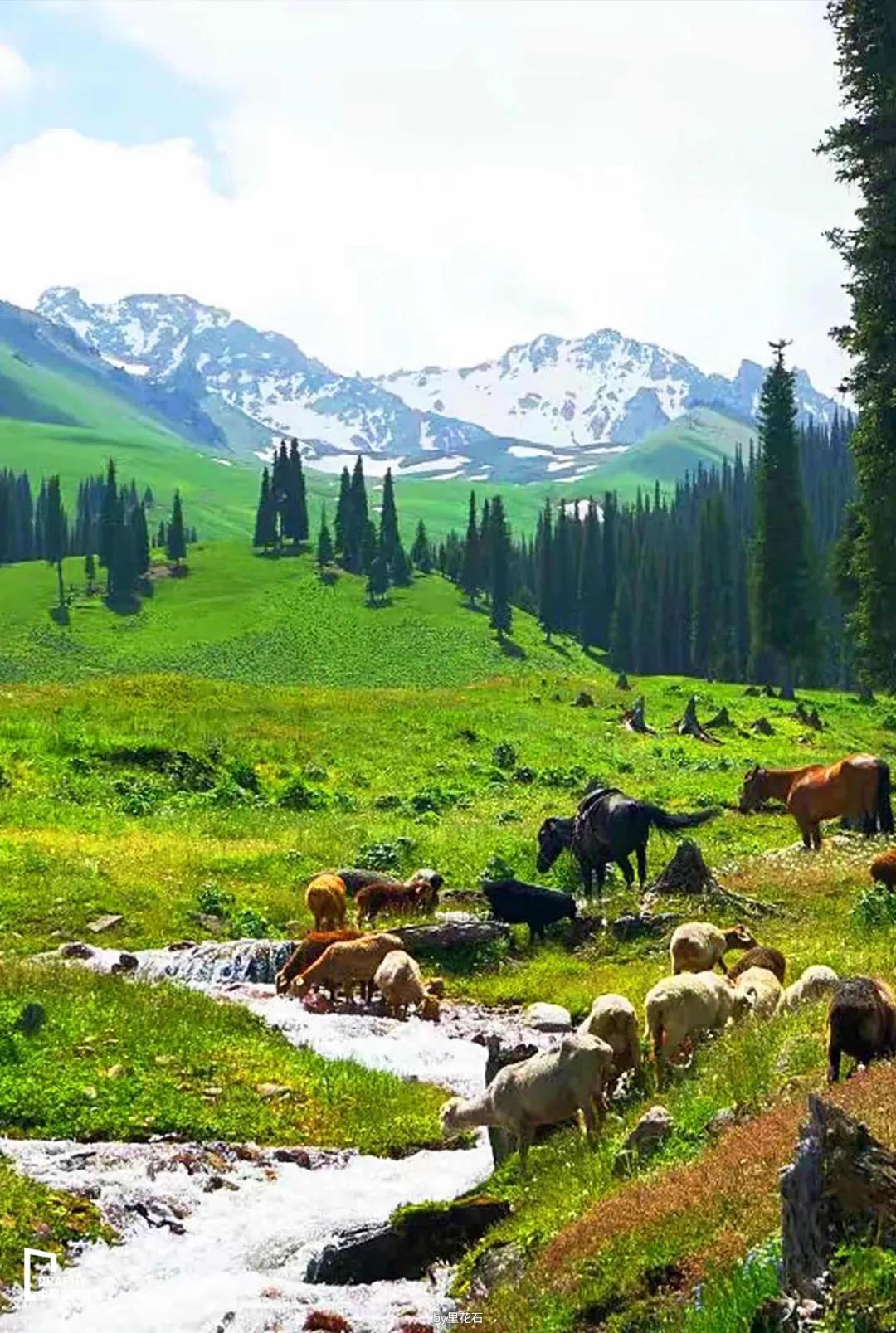 独库公路通车攻略,独库公路官宣