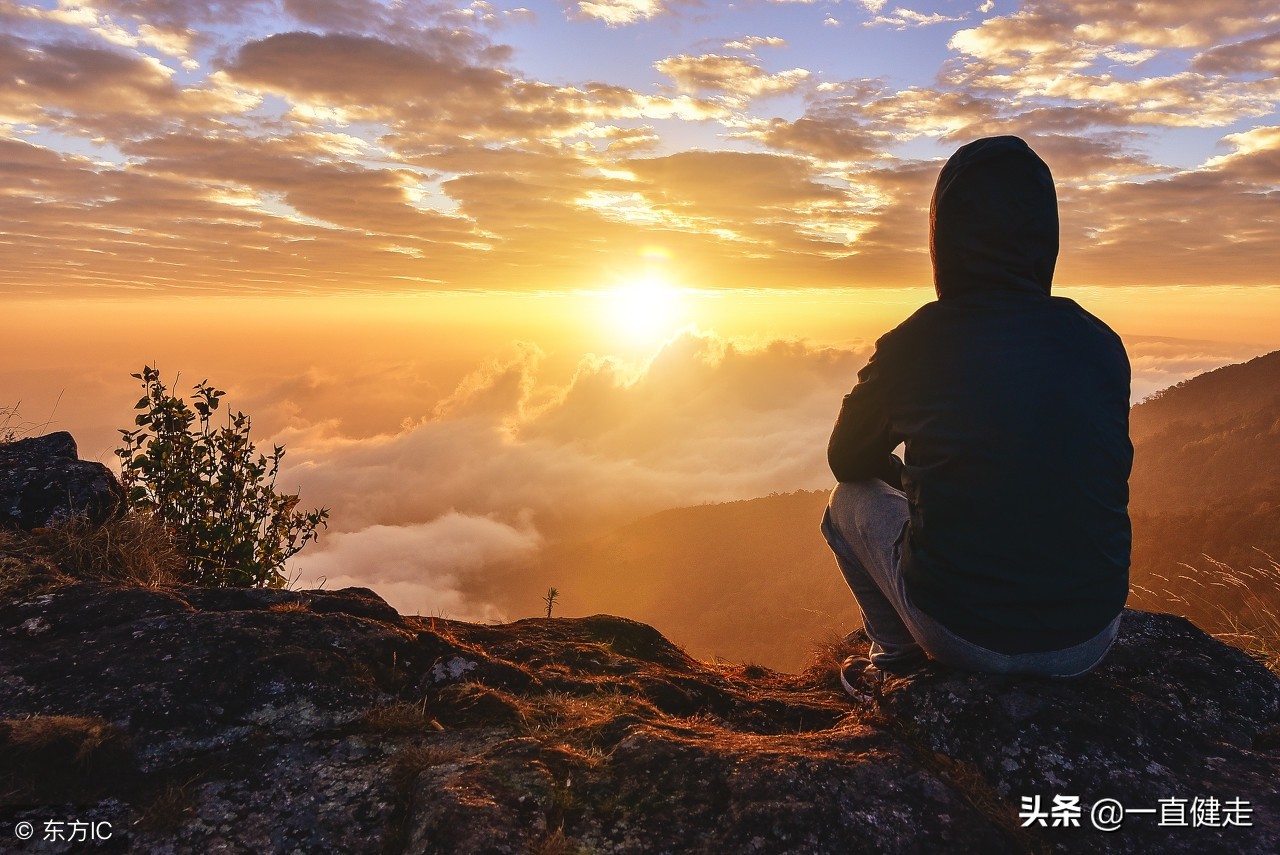 菜根谭作者洪应明简介,洪应明菜根谭全文及译文