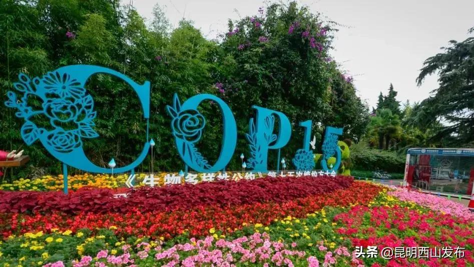 昆明立体花坛最好看的几个,美丽春城立体花坛