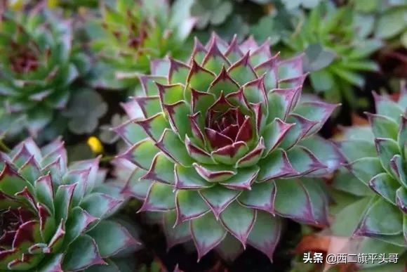 中国最美尼姑庵图片,全中国最美的尼姑庵