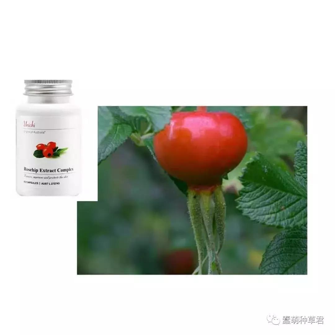 25岁以上抗初老保养品,25岁抗初老精华国货