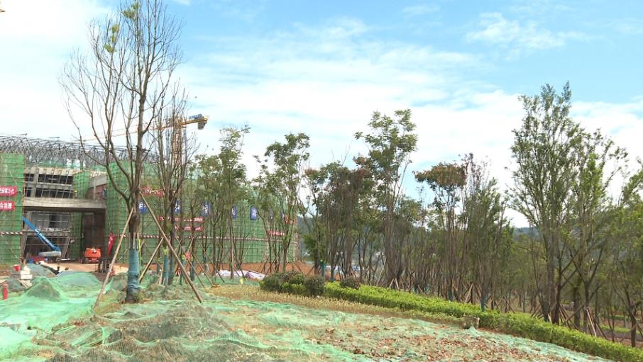 实地探访：蓬安县体育中心修得咋样了？