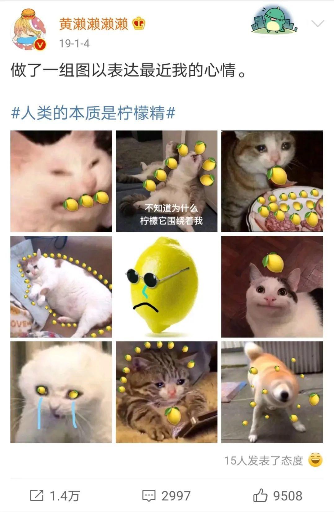 吃瓜一词是怎么来的,吃瓜一词的由来