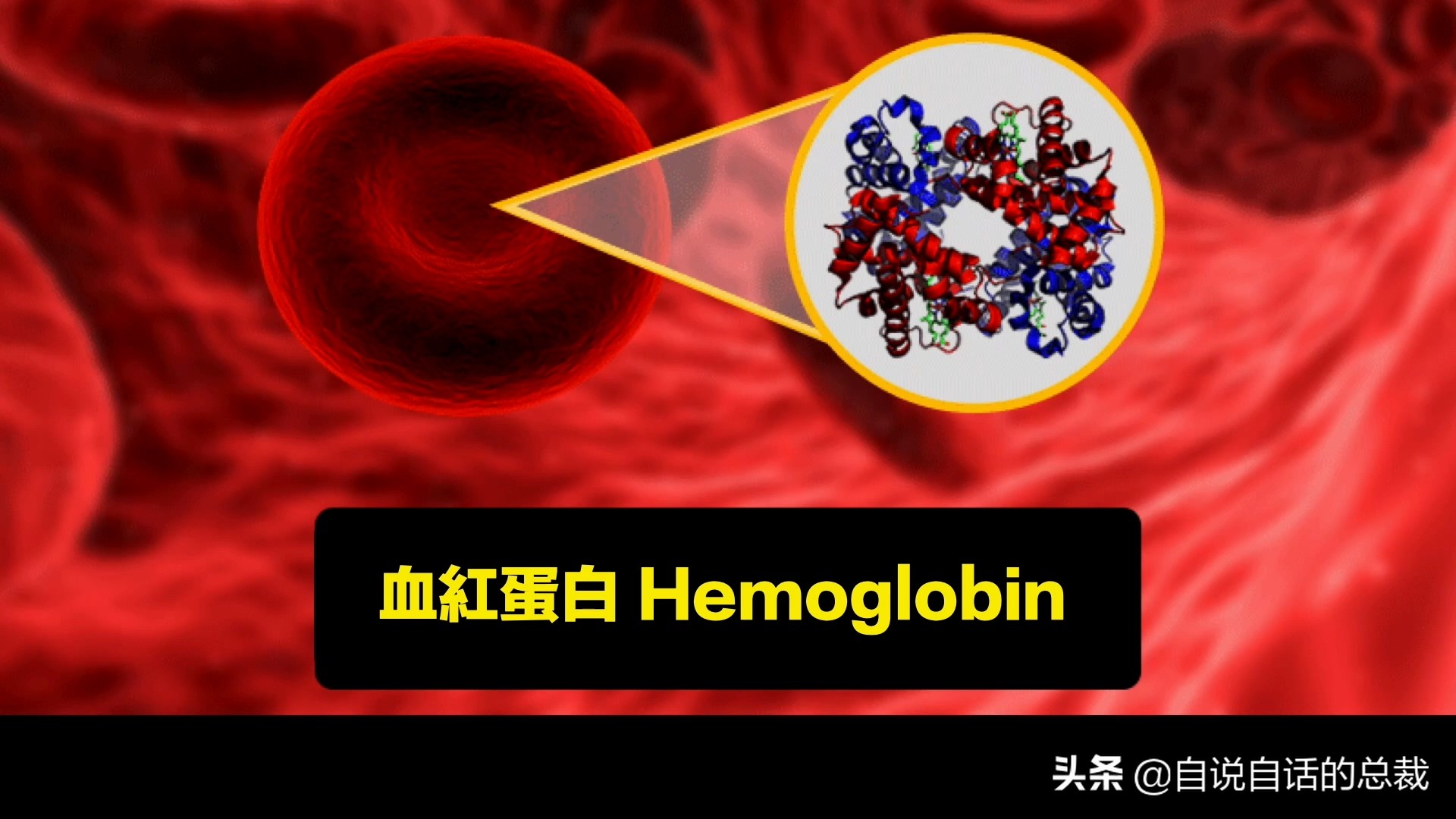 海鲜蛤蜊与蛤蜊区分,蛏子与小人蚬的区别